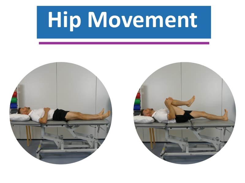 Osteoarthritis Of The Hip Norfolk Waveney Community Musculoskeletal osteoarthritis-of-the-hip-norfolk-waveney-community-musculoskeletal